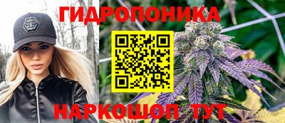 стаф Чапаевск