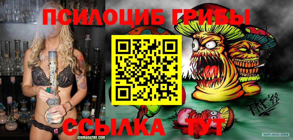 Галлюциногенные грибы прущие грибы Аша